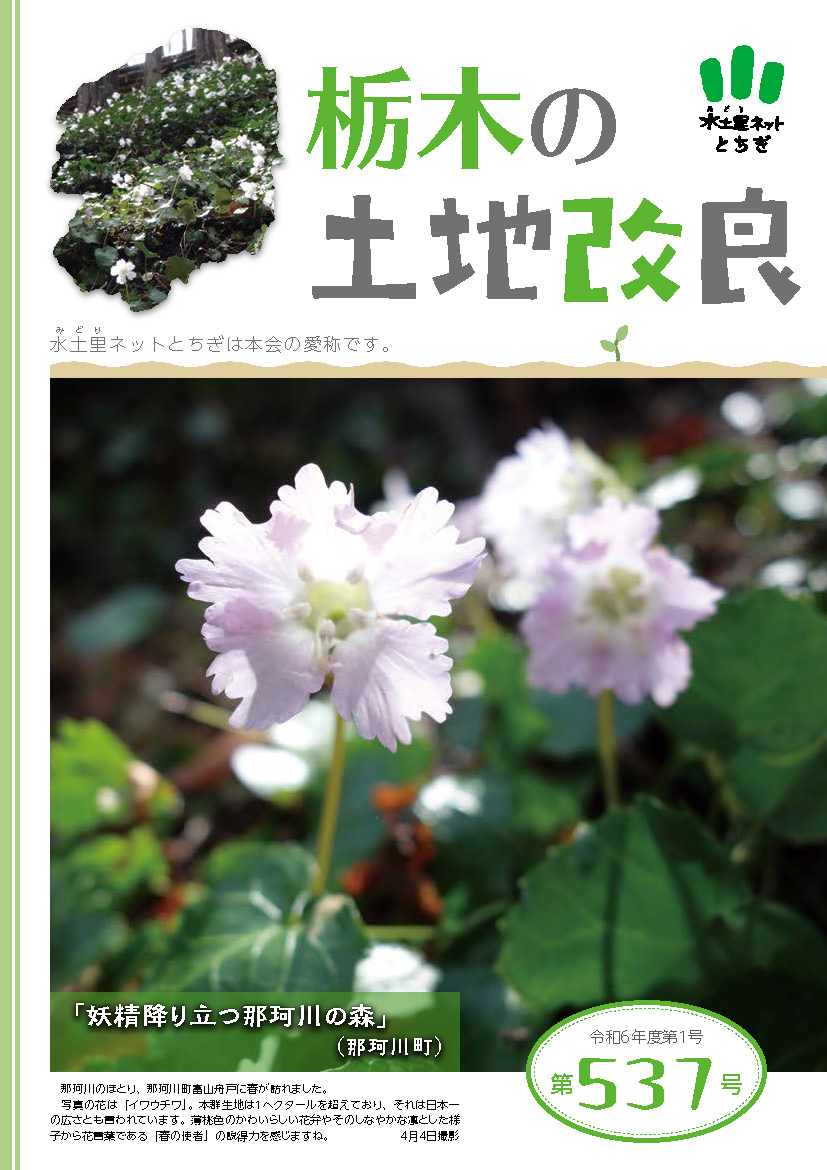 第537号