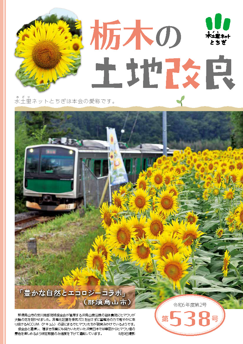 第538号