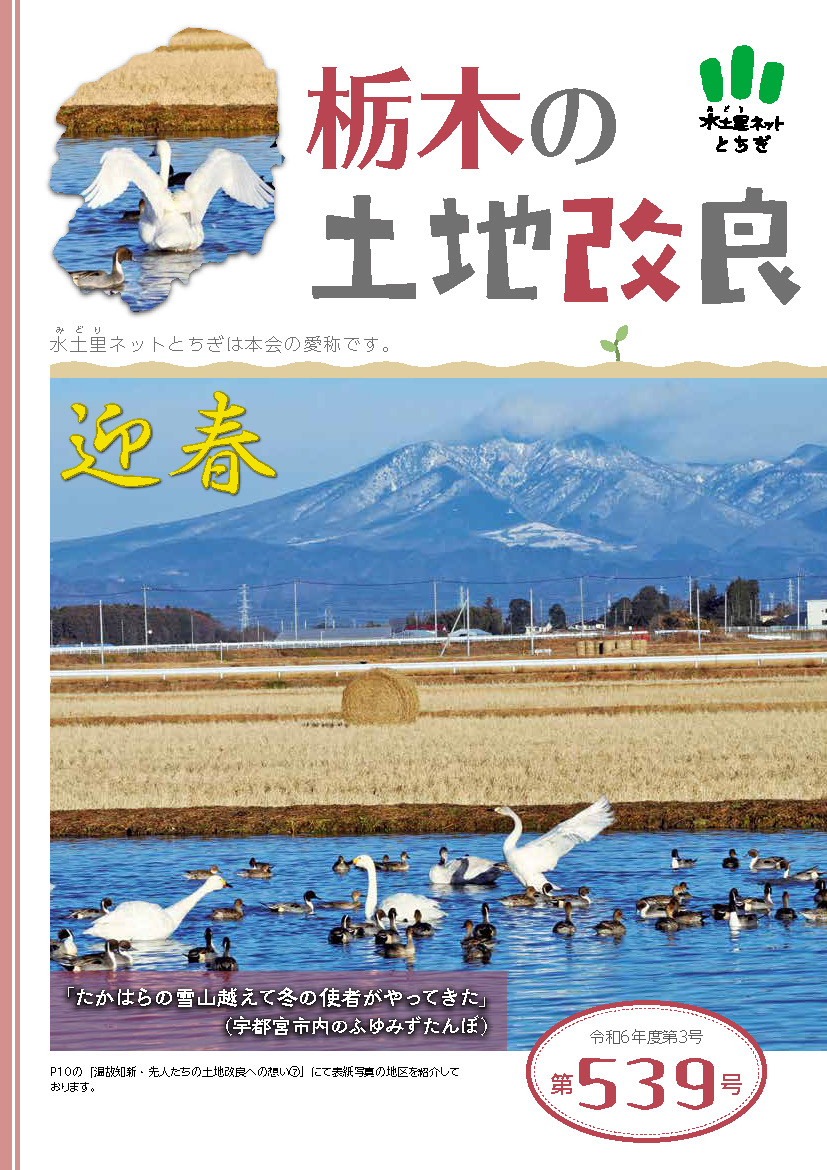 第539号