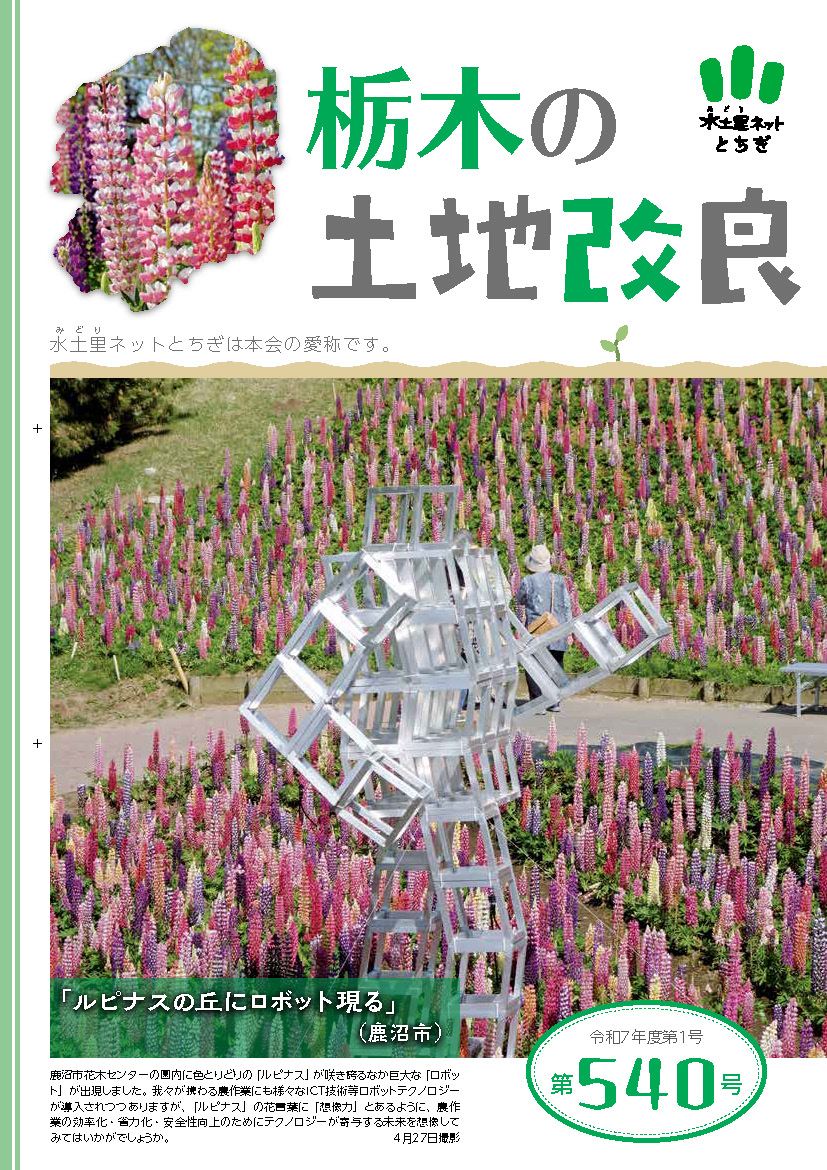 第537号