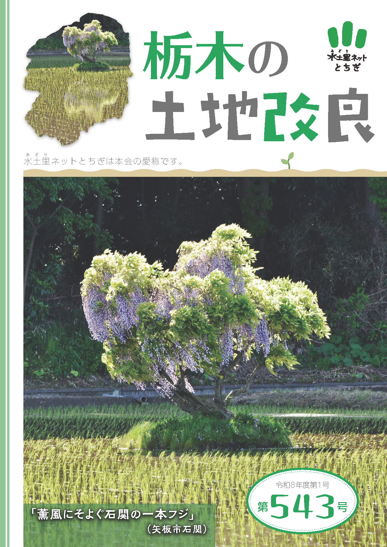 第540号