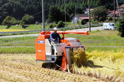 �w�������鍲������x